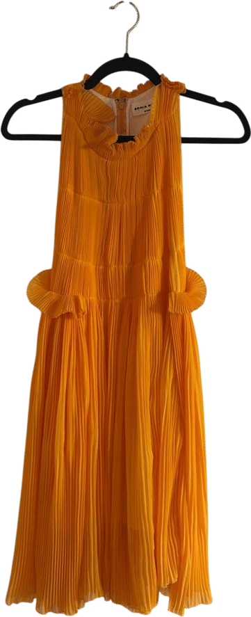 Yellow and Orange Ruffled Dress