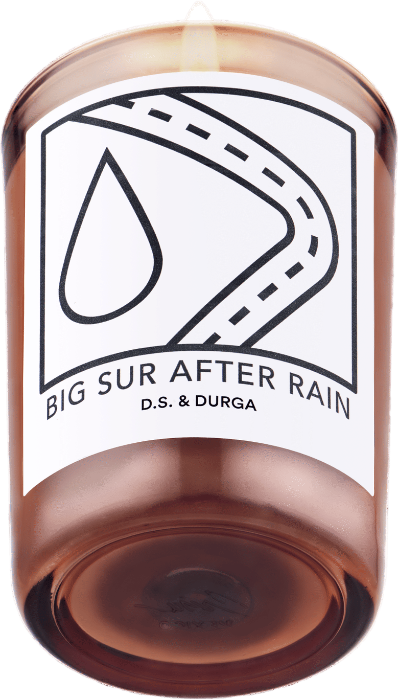 Big Sur After Rain (D.S. & Durga)