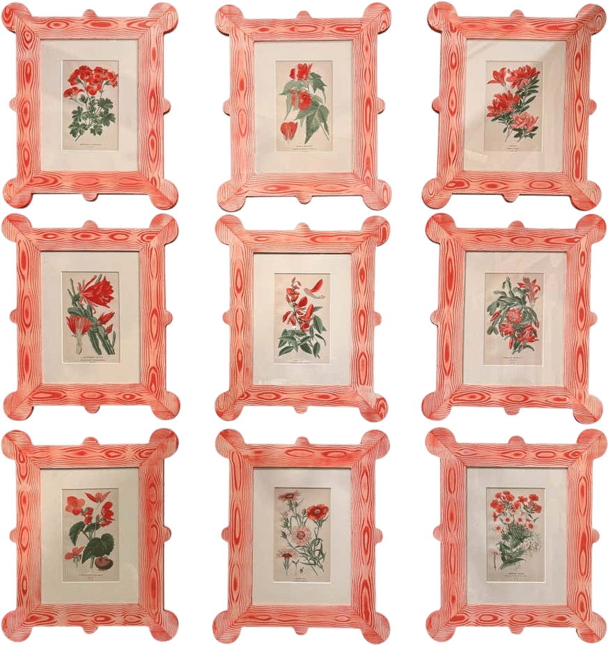 19th century botanicals in custom matching faux bois frames by Fabulous Things