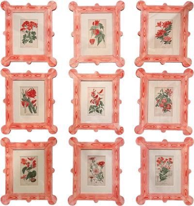 19th Century Botanicals in Faux Bois Frames