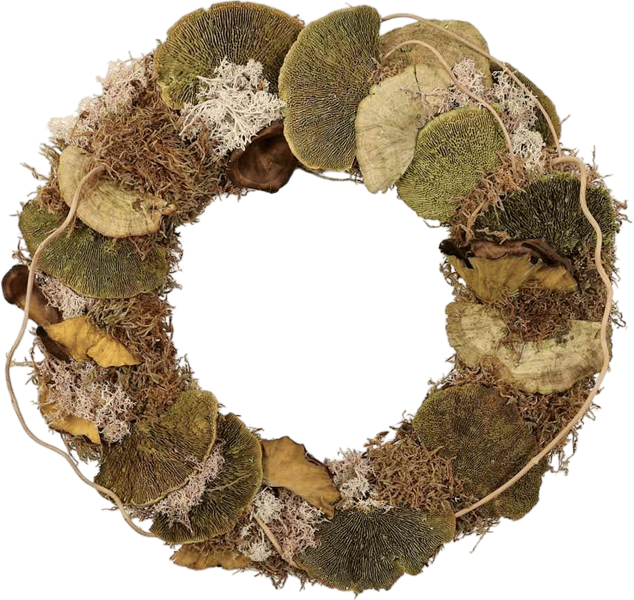 Honeybloom Dried Mushroom Wreath, 18"