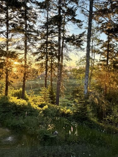 Nature