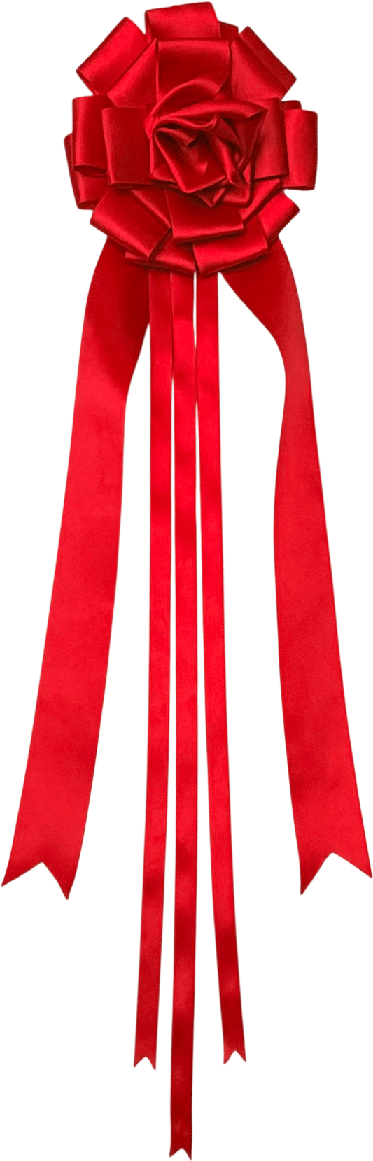 Show Pony Award Ribbon Pin