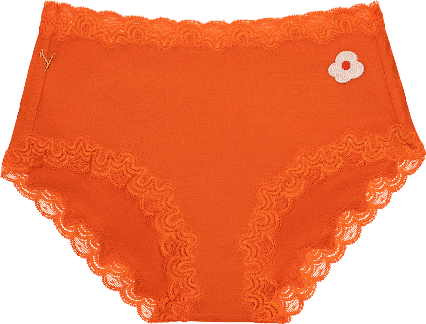 Silk Panties