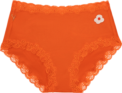 Silk Panties
