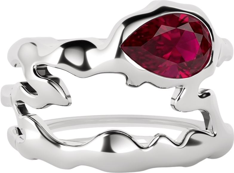 Smart Ring Cover