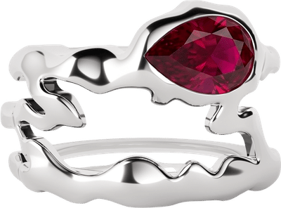 Smart Ring Cover