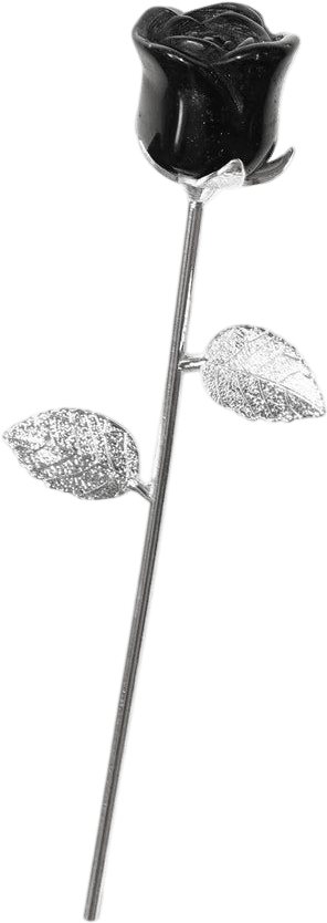 Correa Stone Rose (Obsidian)