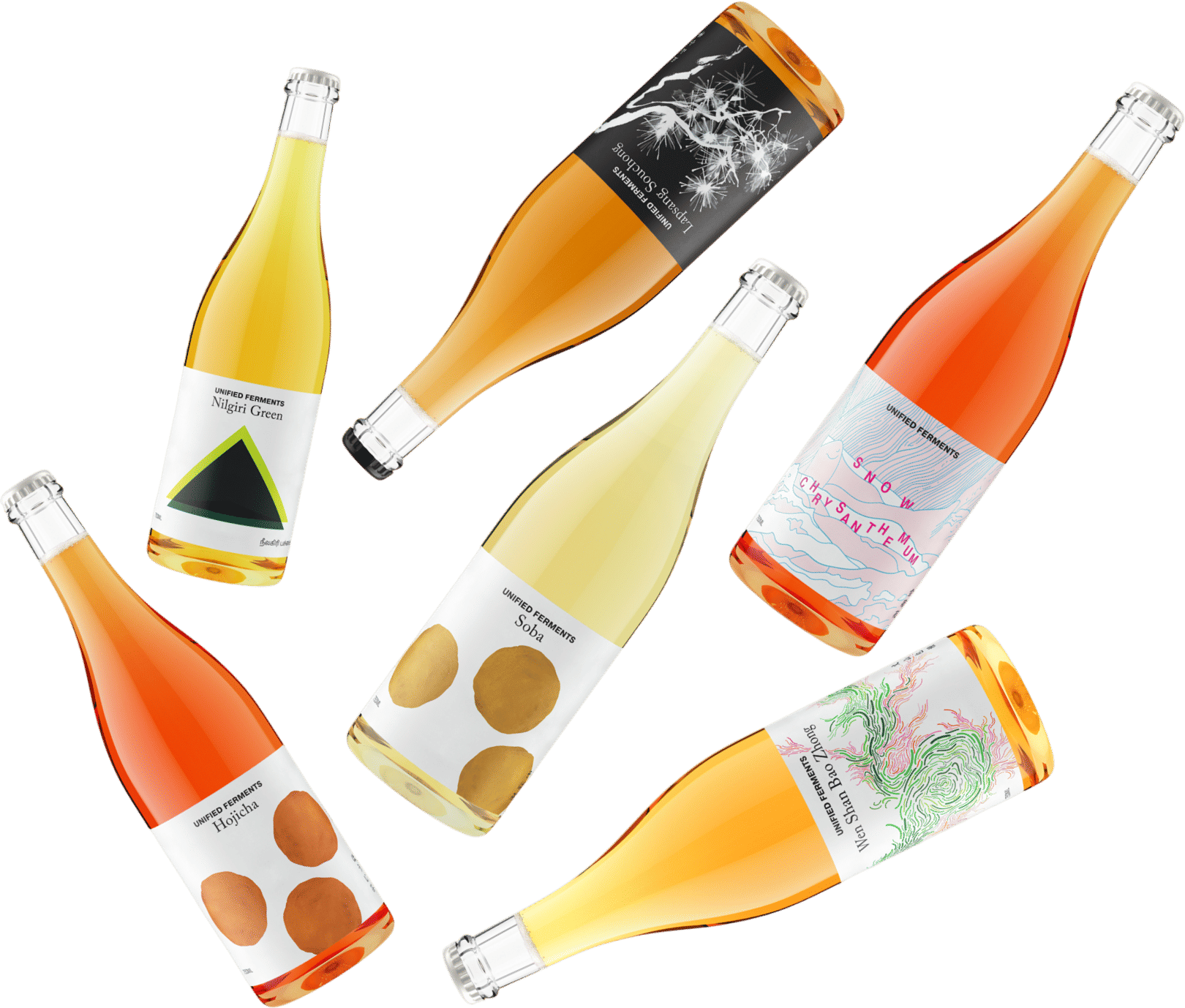 Bright Spectrum 6-Pack