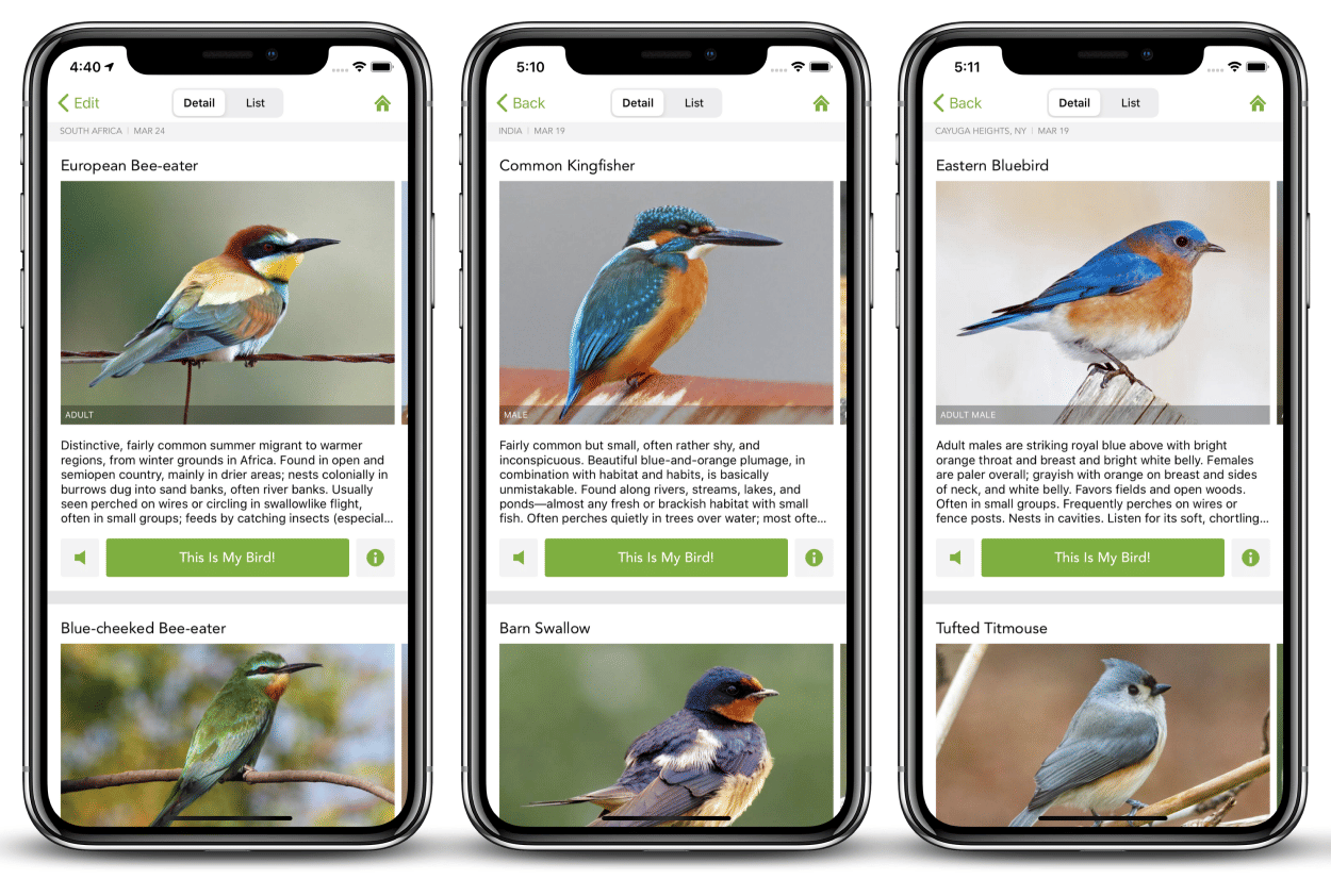 Merlin Bird ID App.