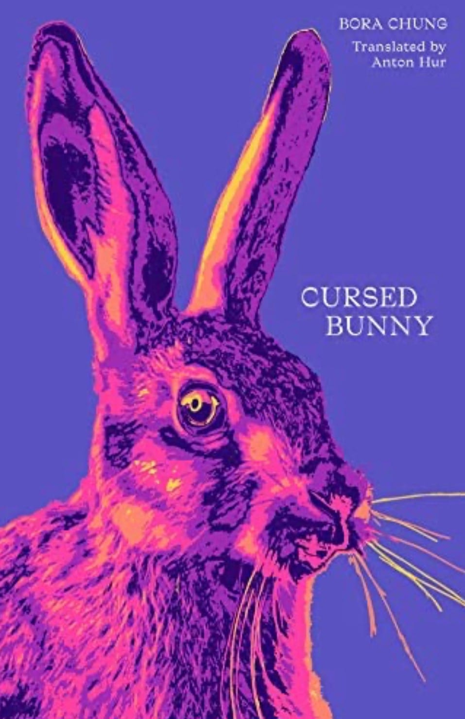 Cursed Bunny - Bora Chung