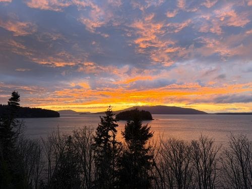 bellingham
