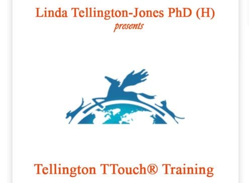 T-Touch (Tellington Touch)