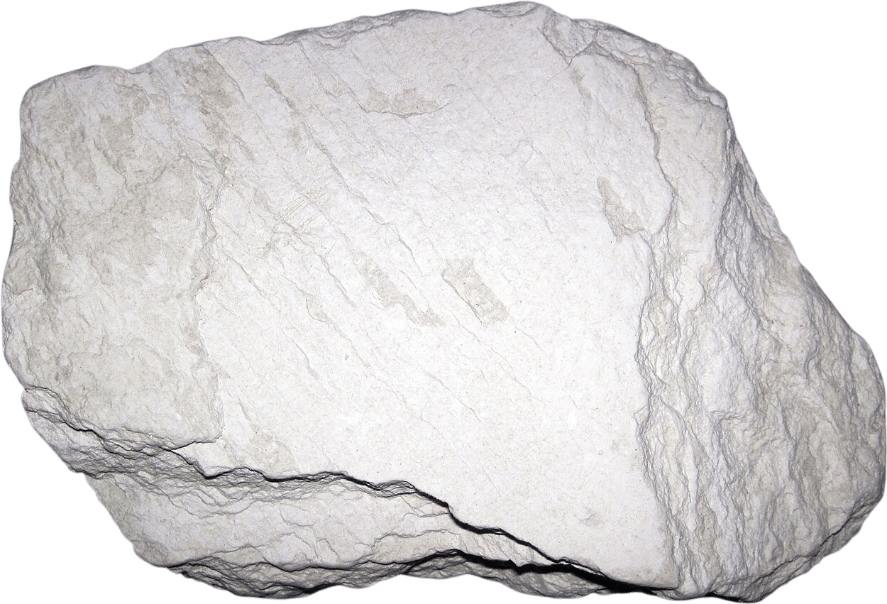 diatomaceous earth