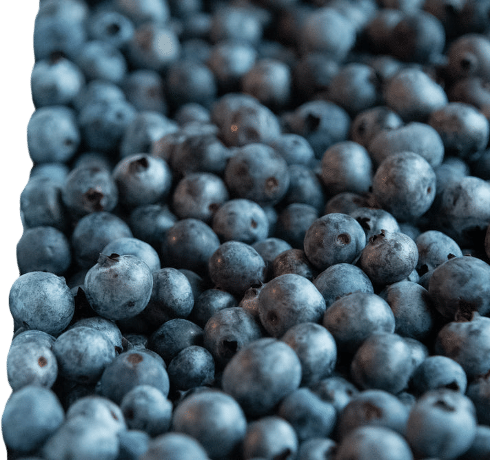 Josh Pond Frozen Blueberries