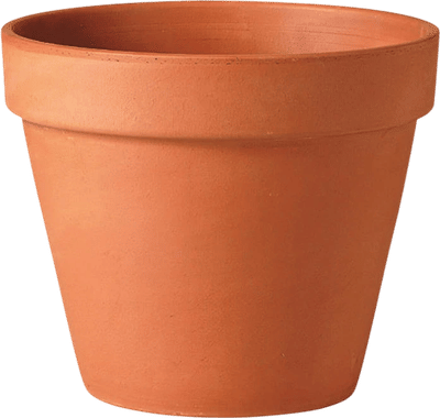 12" Terracotta Pot