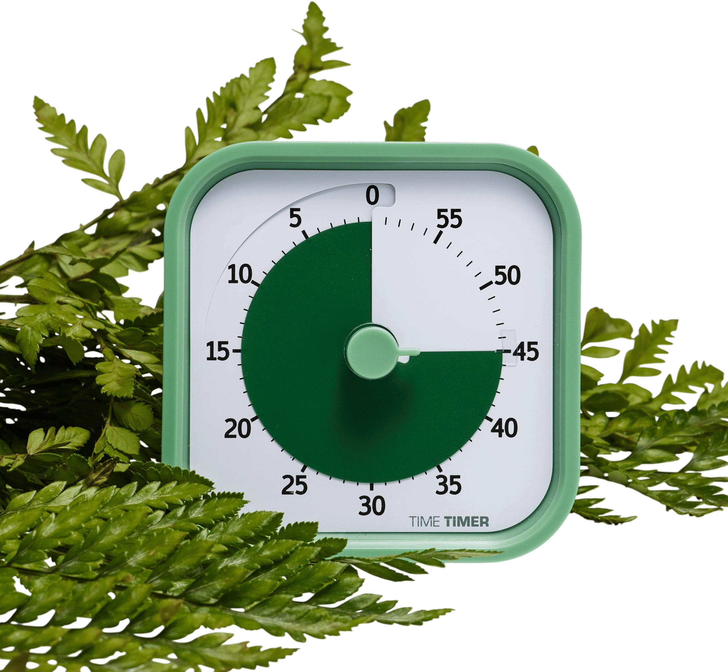 Time Timer®