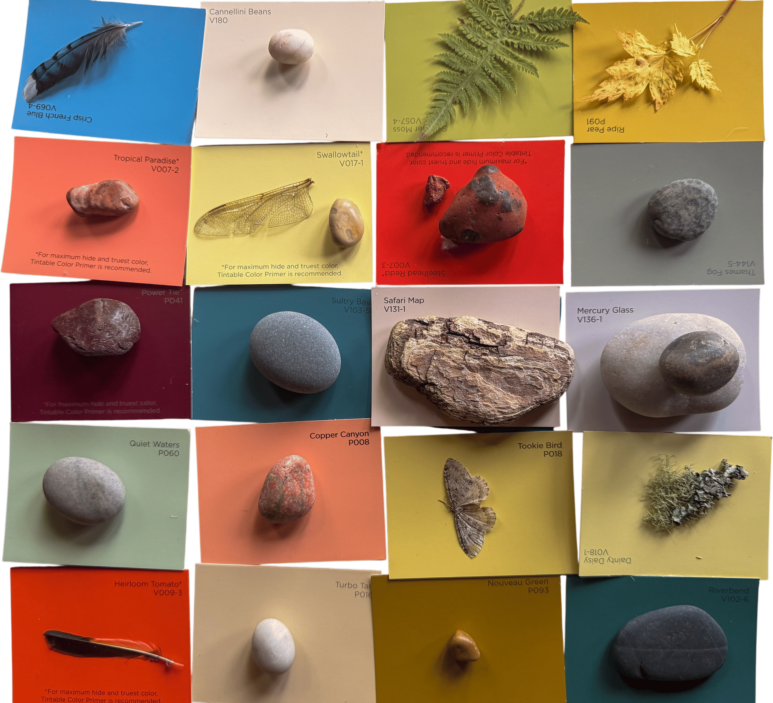 Paint Chip Play