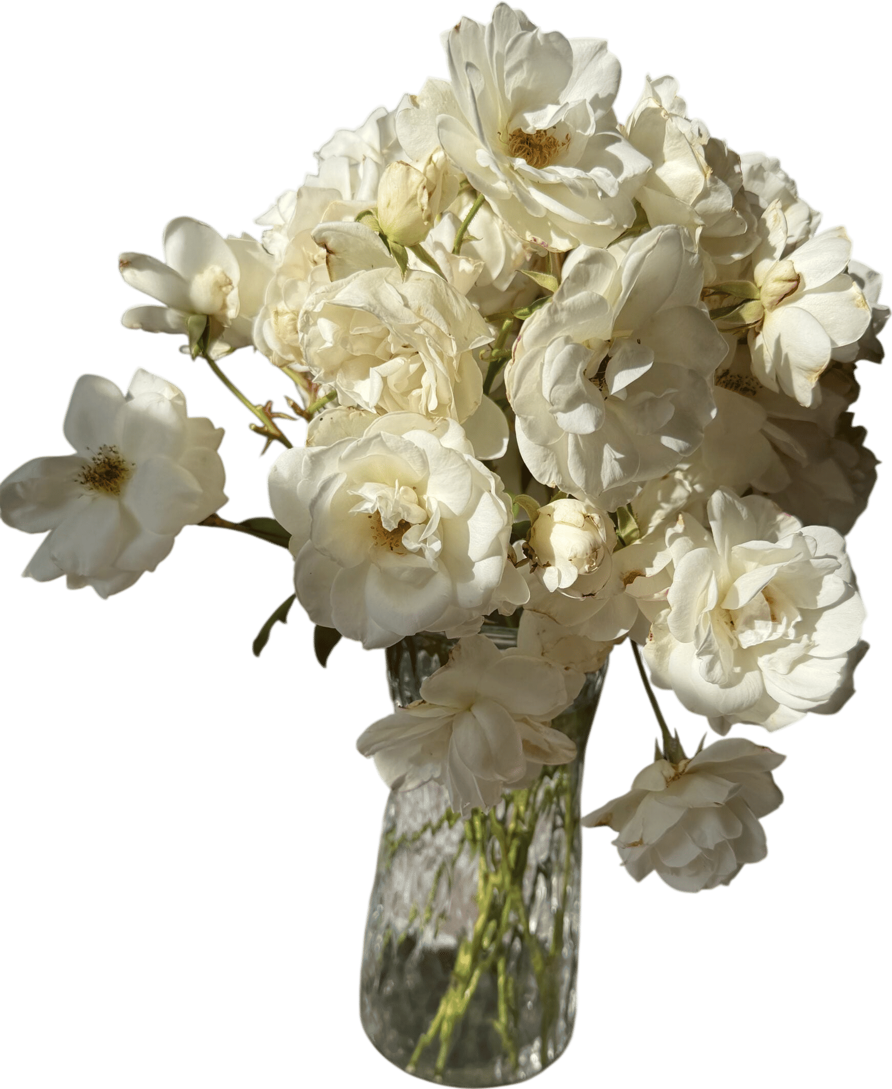 Making Flower Arrangments When My Kids Are Napping