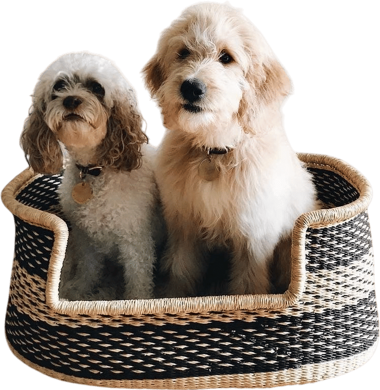 Members-Only Recommendation