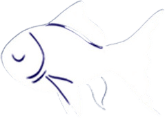 Also Sleepyfish