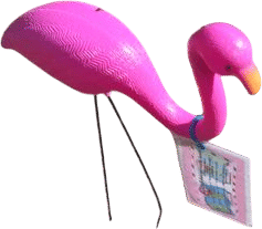 Whimsical traveling flamingo