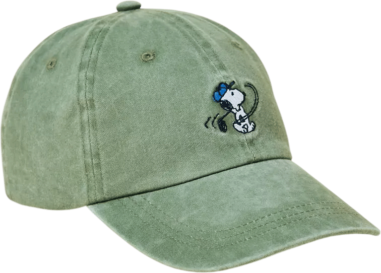 Peanuts Snoopy Embroidered Icon Washed Dad Hat