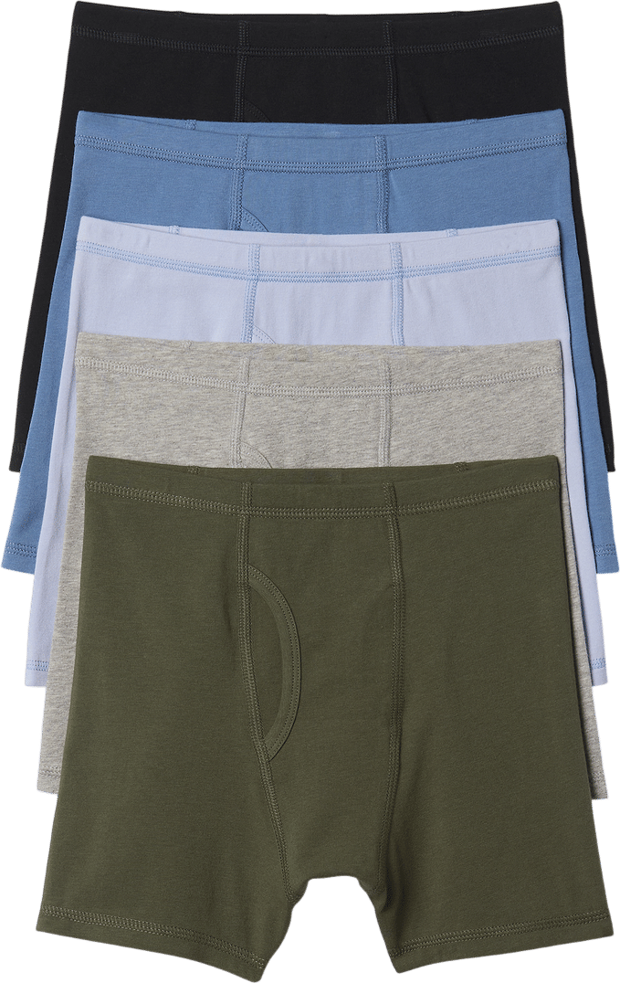 Organic Cotton Boxer Briefs