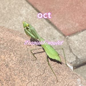 create cover art for playlists