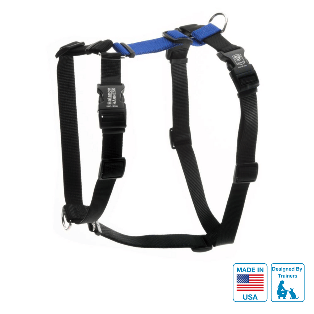 Balance Harness