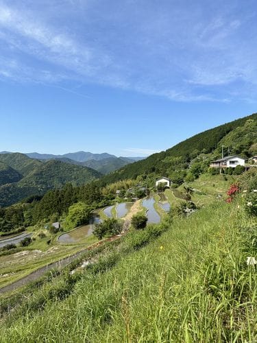 KUMANO KODO Trek - 6 days | Nakahechi, Takijiri to Nachi