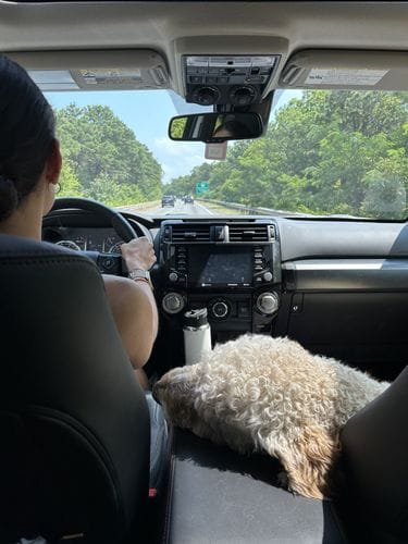 Offering Friends A Ride