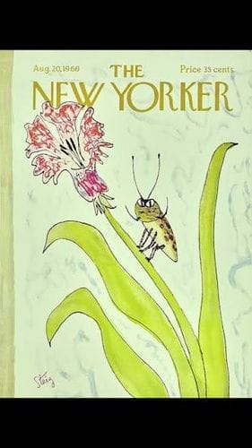 The New Yorker
