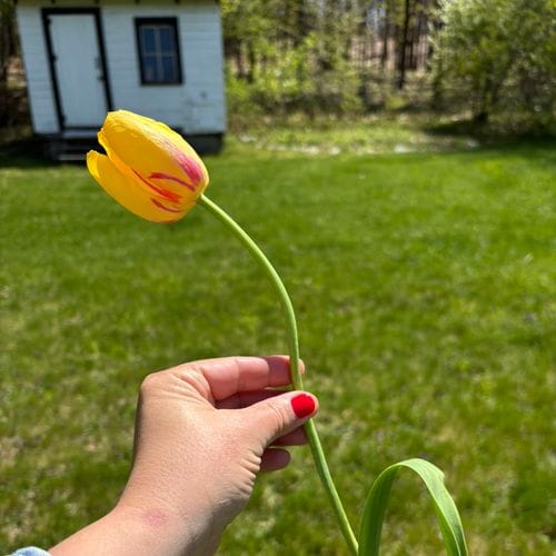 Gardening