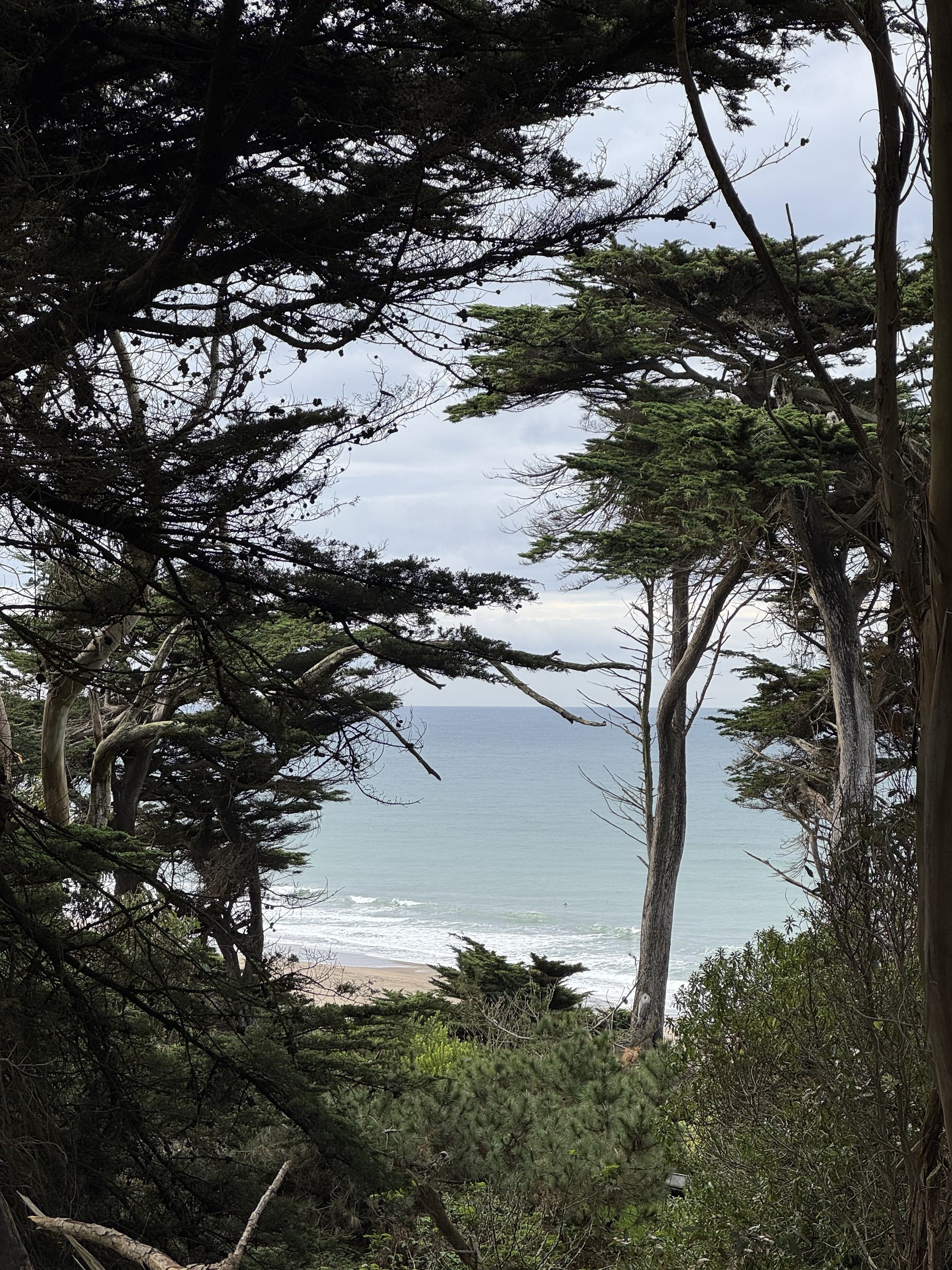 A solo trip, no social media allowed