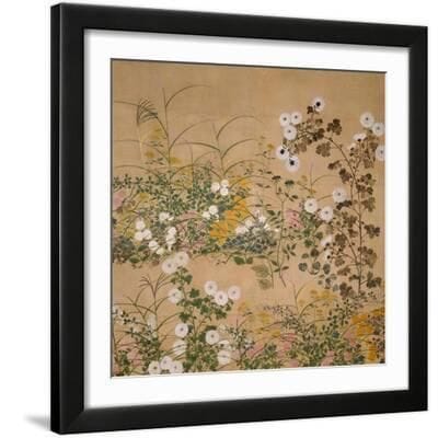 Flowering Plants in Autumn, 18th Century Giclee Print (Ogata Korin)