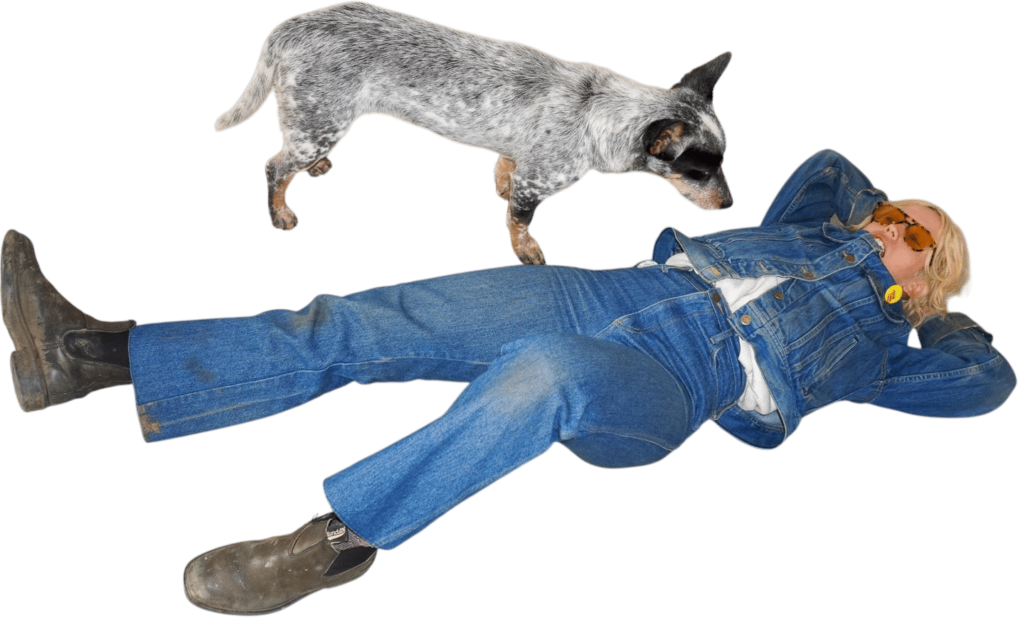 lord cowboy