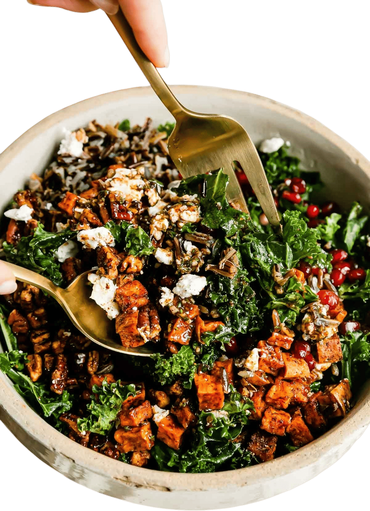 Thanksgiving salad
