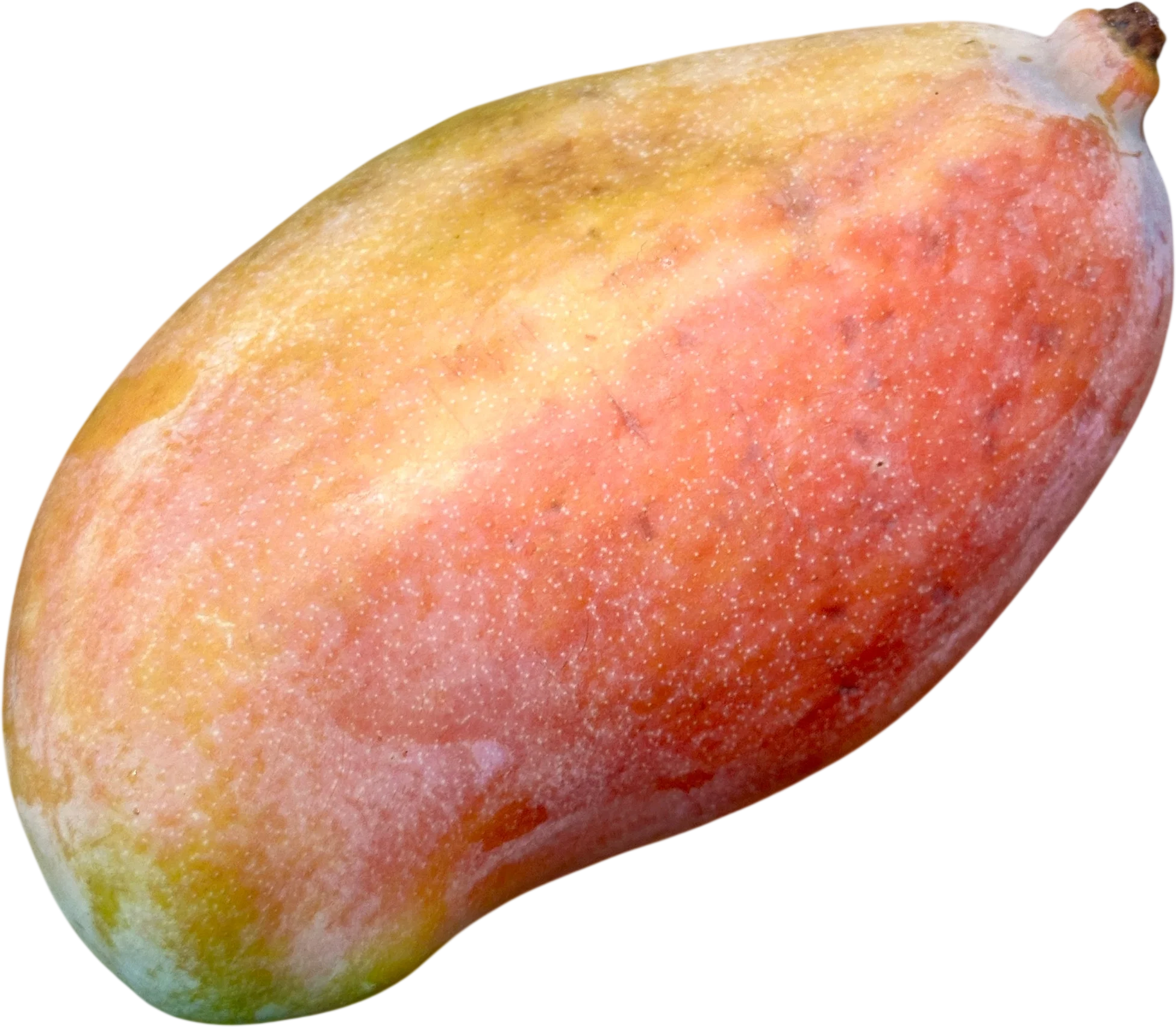 Valencia Pride Mango