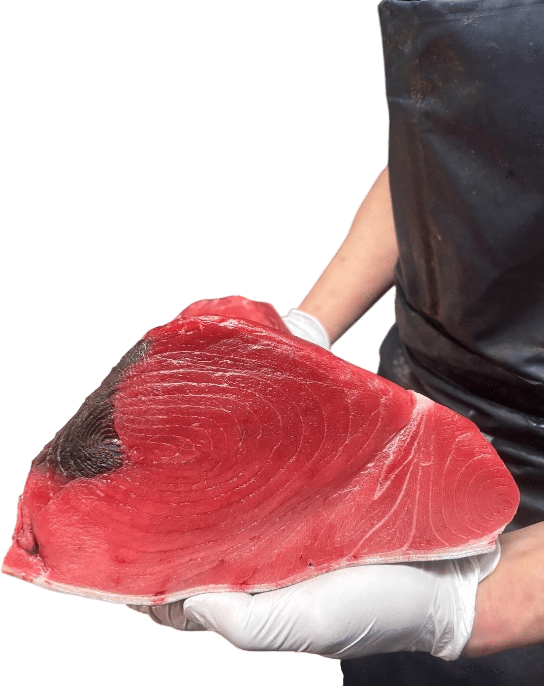 🐟 Nojima 魚料理 のじま