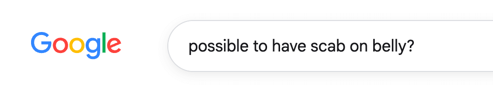 insisting you are really smart knowing full well your google search history could ruin you at any moment