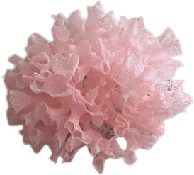 Vibrant Pink Fan Lace Coral Specimen