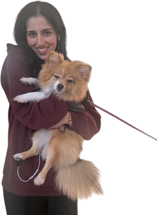 cuddling someone else’s dog