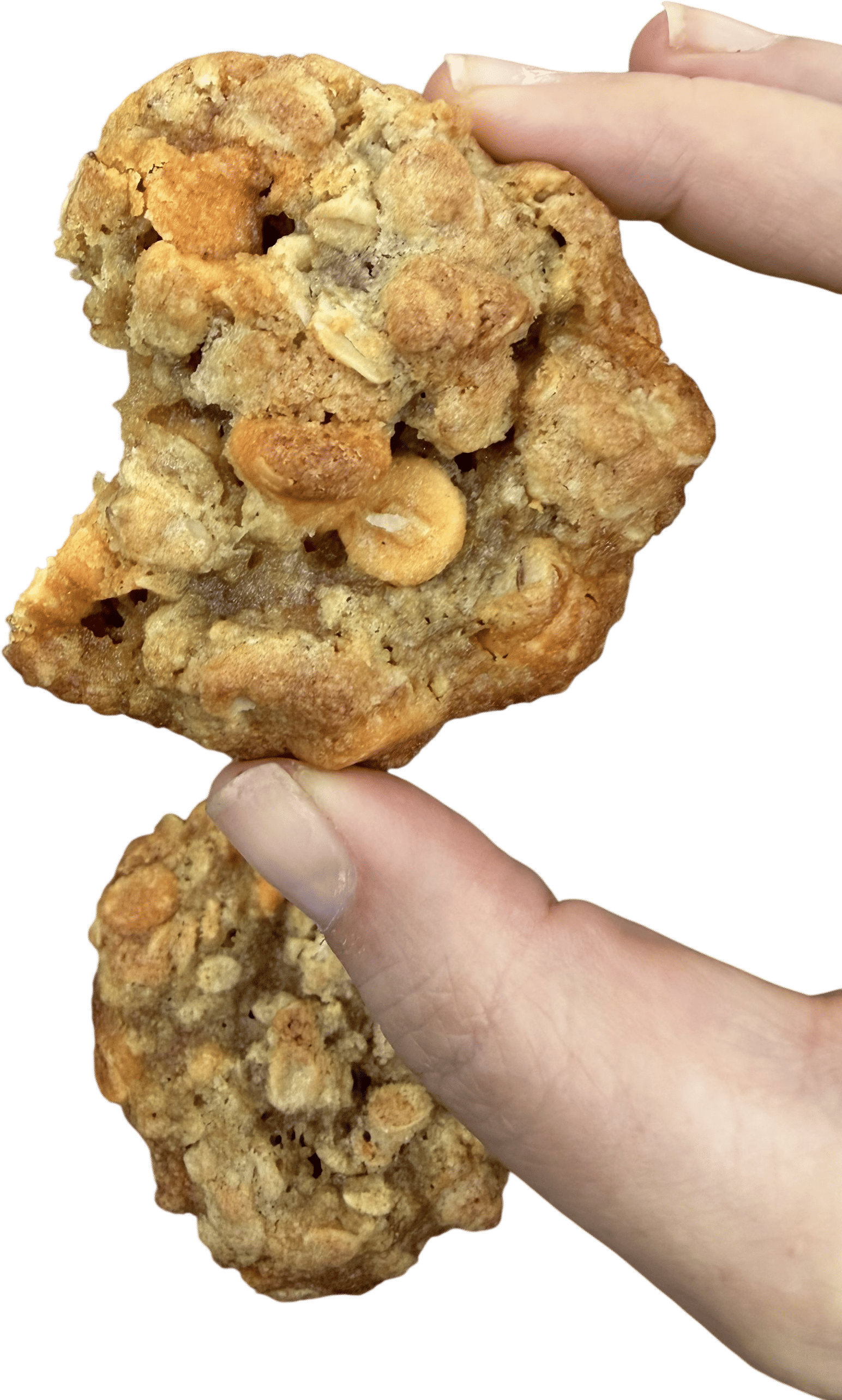 Butterscotch Oatmeal Cookies