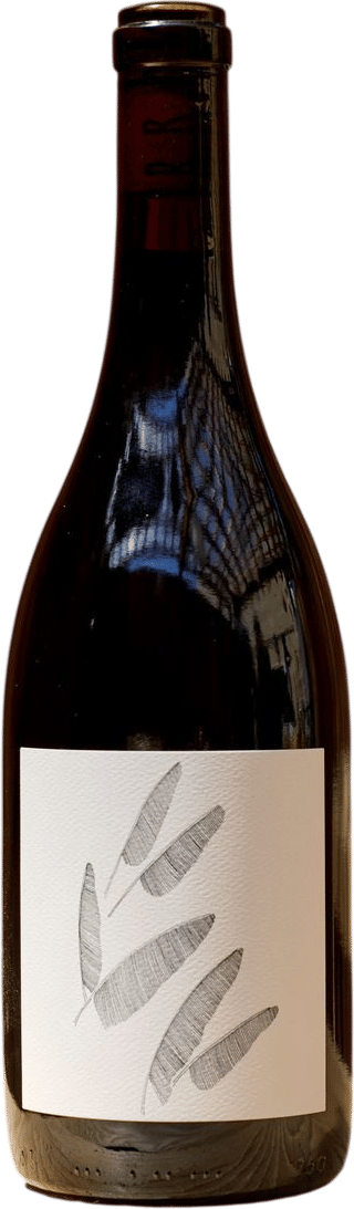 Broc Cellars Wirth Zinfandel (2024)