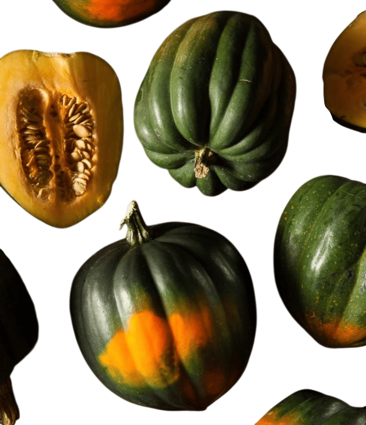 Acorn squash