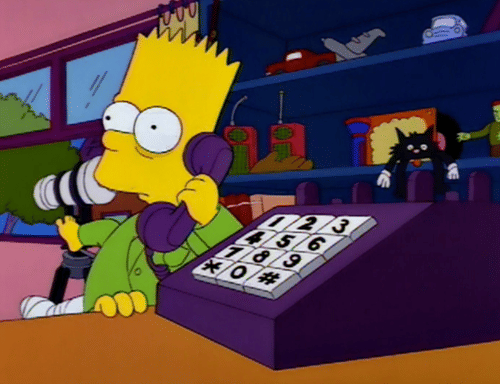 The Simpsons S6E1, “Bart of Darkness”