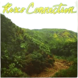Risco Connection - It's My House