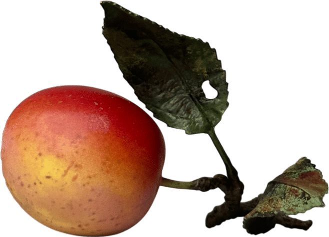 Porcelain Victoria Plum with Two Leaves