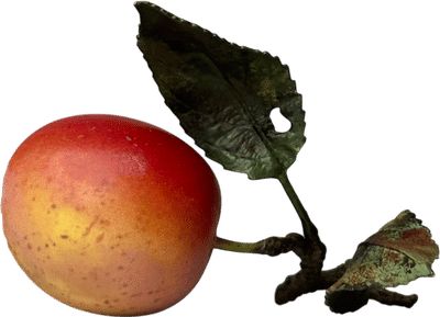 Porcelain Victoria Plum with Two Leaves
